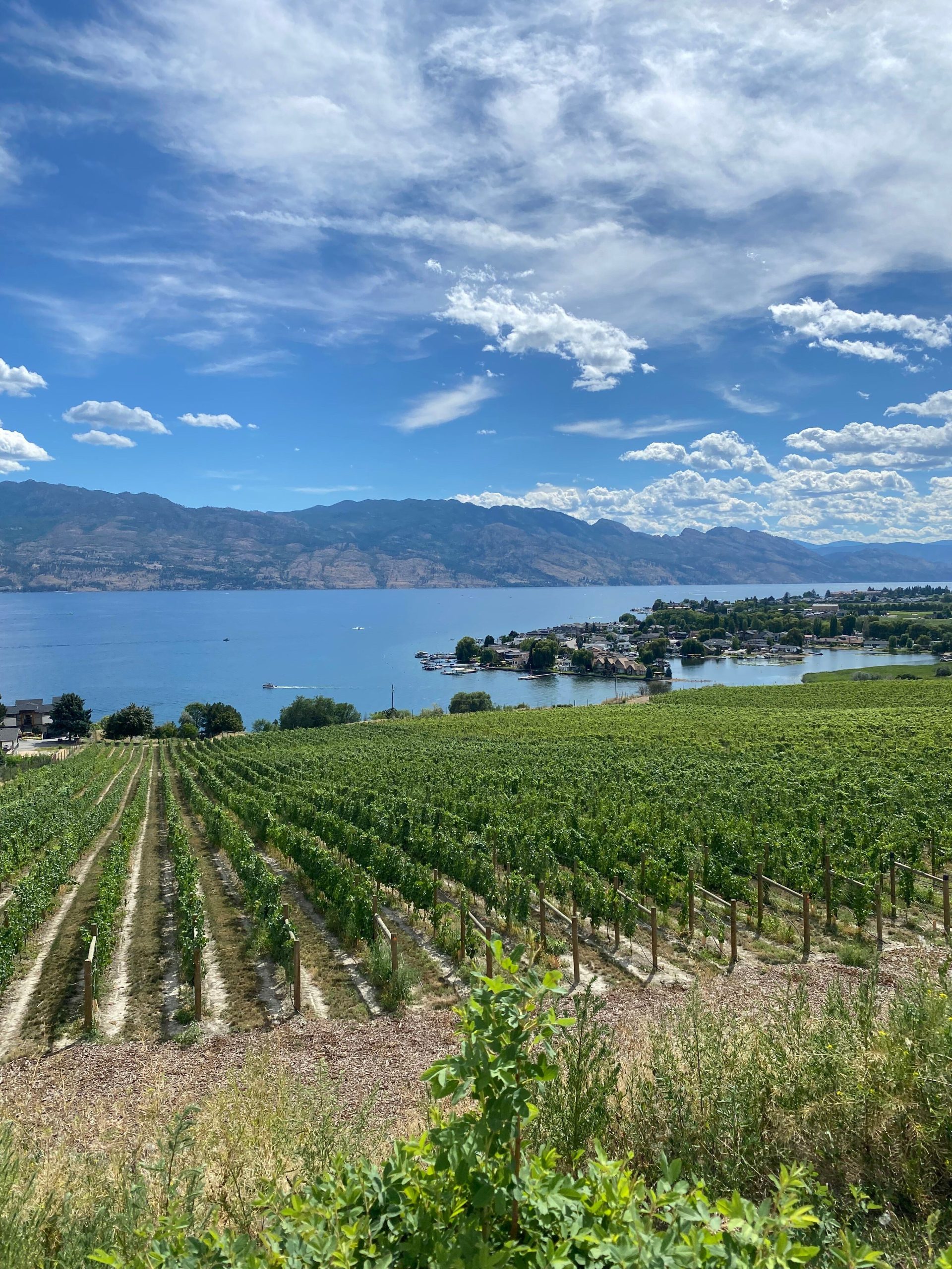 Okanagan landscape near Kelowna